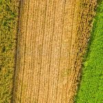 aerial-top-view-different-agriculture-fields-countryside-spring-day-corn-farm-aerial-top-view-different-163518458